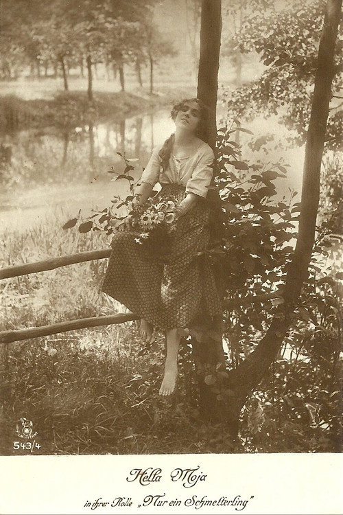 Movie poster for Nur ein Schmetterling (1918)