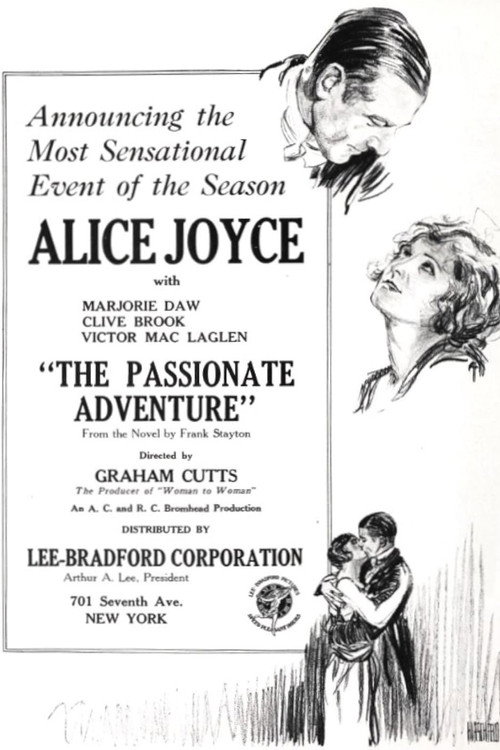 Movie poster for The Passionate Adventure (1924)