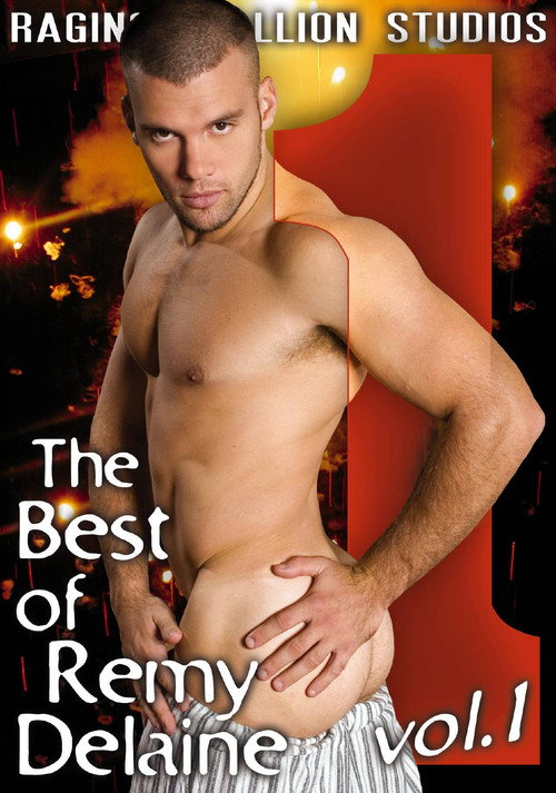 Movie poster for The The Best of Remy Delaine 1 (2008)
