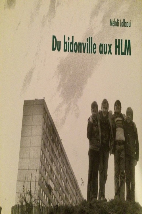 Movie poster for Du bidonville aux HLM (1993)