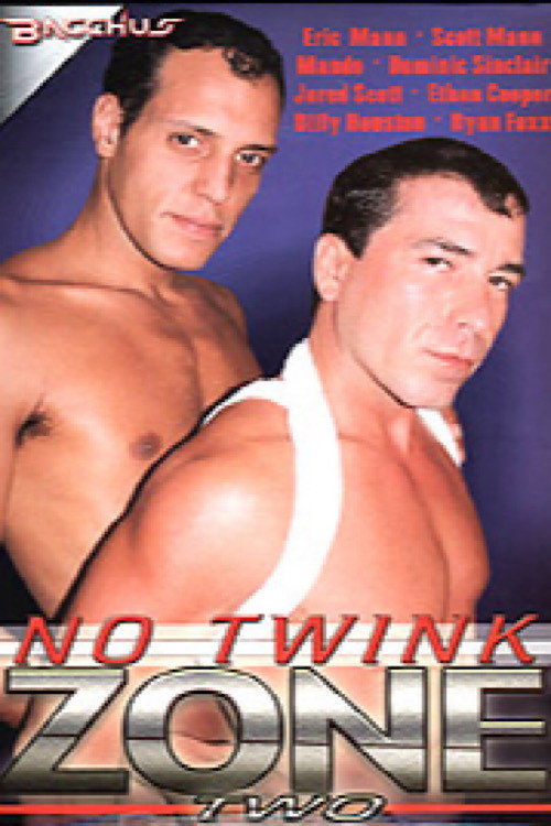 Movie poster for No Twink Zone 2 (2004)