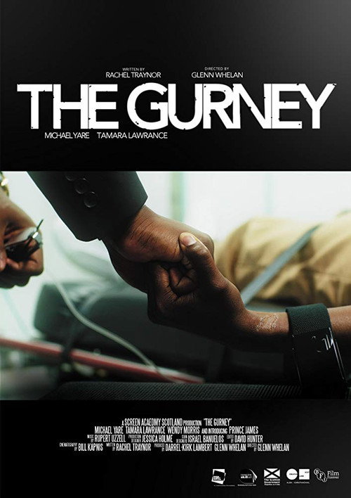 Movie poster for The Gurney (2018)