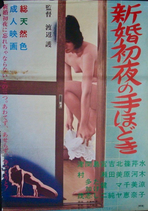 Movie poster for Shinkon shoya no tehodoki (1972)
