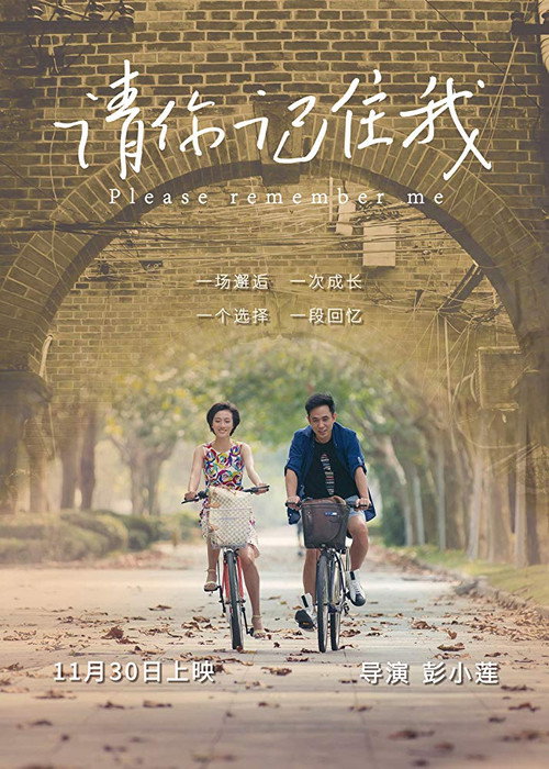 Movie poster for Please Remember Me (2017)