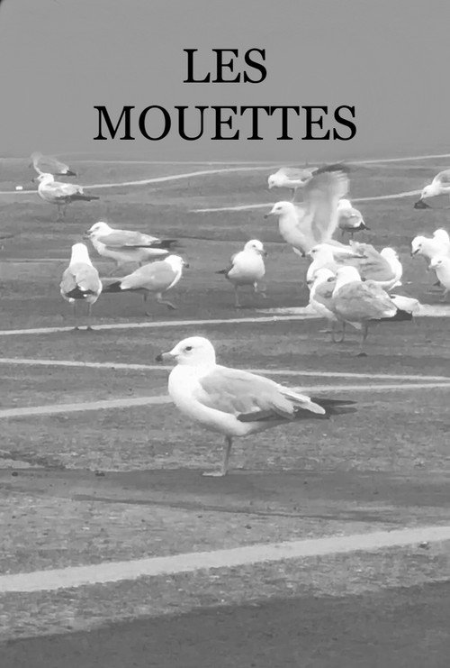 Movie poster for Les Mouettes