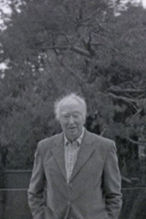 Movie poster for Michael Snow Portrait (2011)