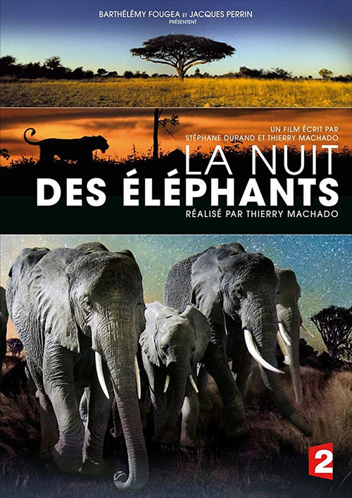 Movie poster for La Nuit des éléphants (2014)