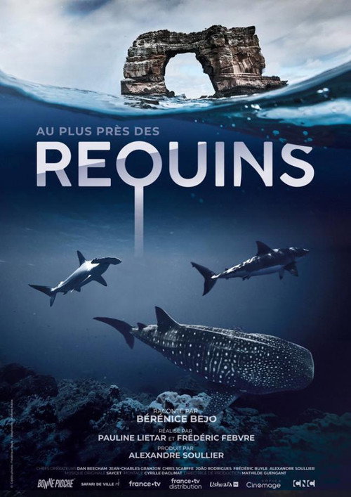 Movie poster for For the Love of Sharks (2022)