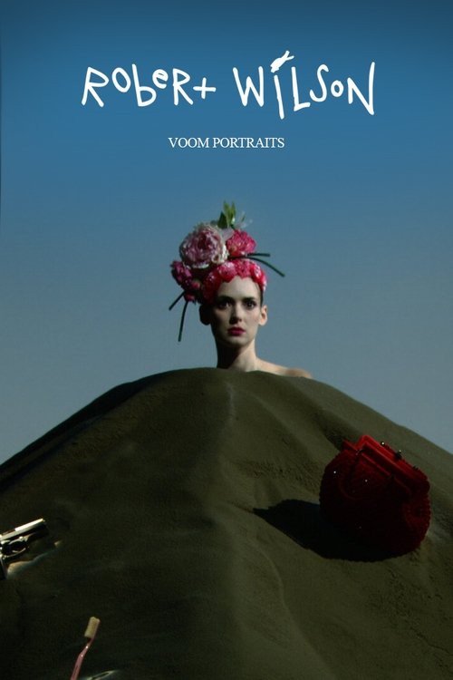 Movie poster for Voom Portraits (2007)