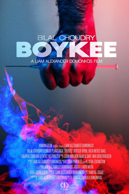 Movie poster for Boykee