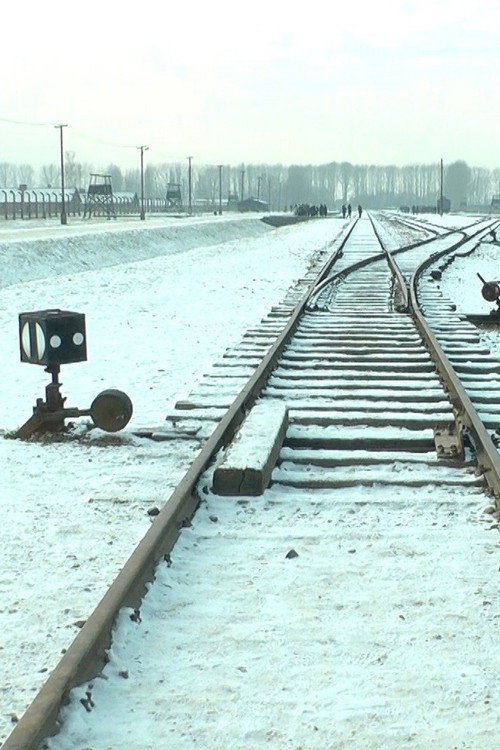 Movie poster for 19 876 Steps in Auschwitz / Birkenau (2017)
