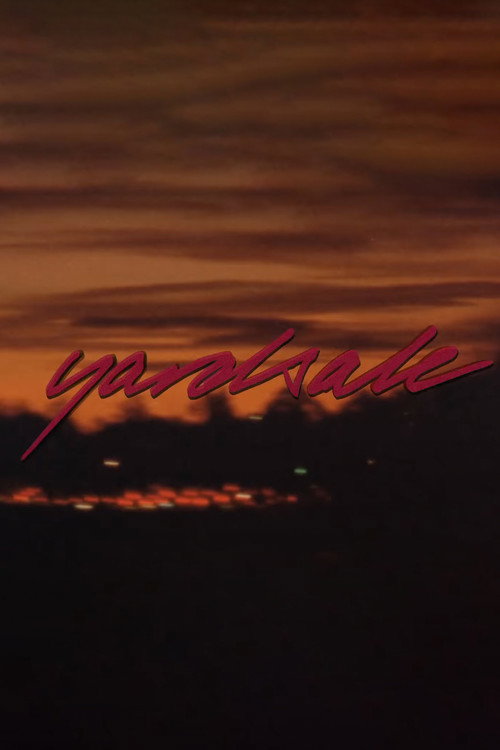 Movie poster for The YS Video (2018)