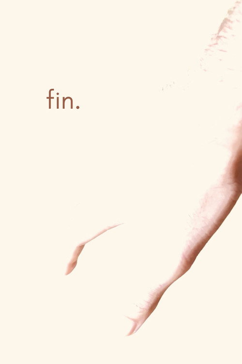 Movie poster for Fin. (2026)