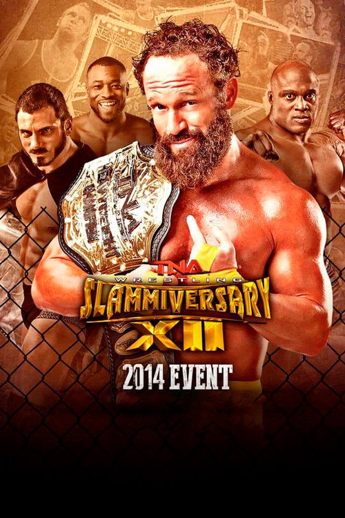 Movie poster for TNA Slammiversary XII (2014)