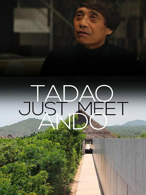 Movie poster for Just Meet (2019)