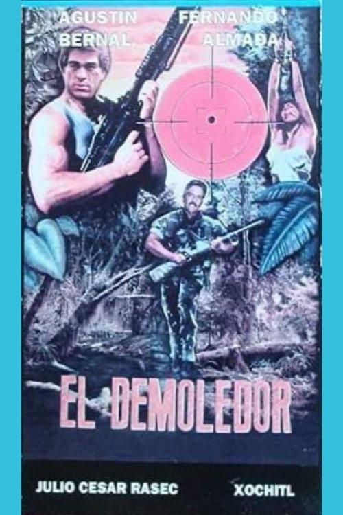 Movie poster for Demoledor (1995)