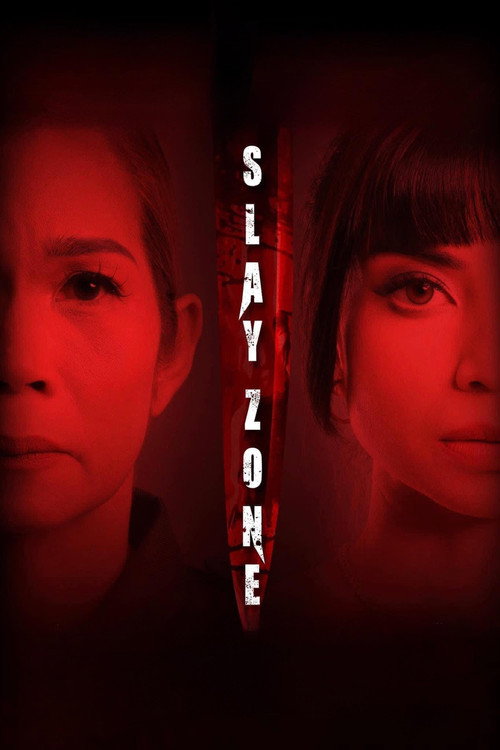 Movie poster for Slay Zone (2024)