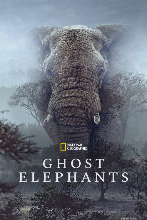 Movie poster for Ghost Elephants (2026)