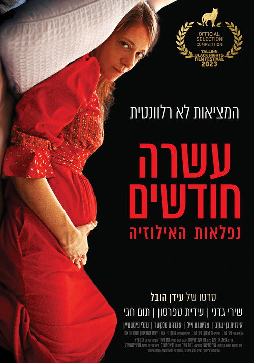 Movie poster for Ten Months (2024)