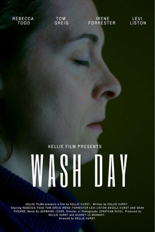 Movie poster for Wash Day (2021)