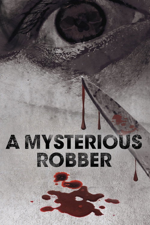 Movie poster for A Mysterious Robber (2012)