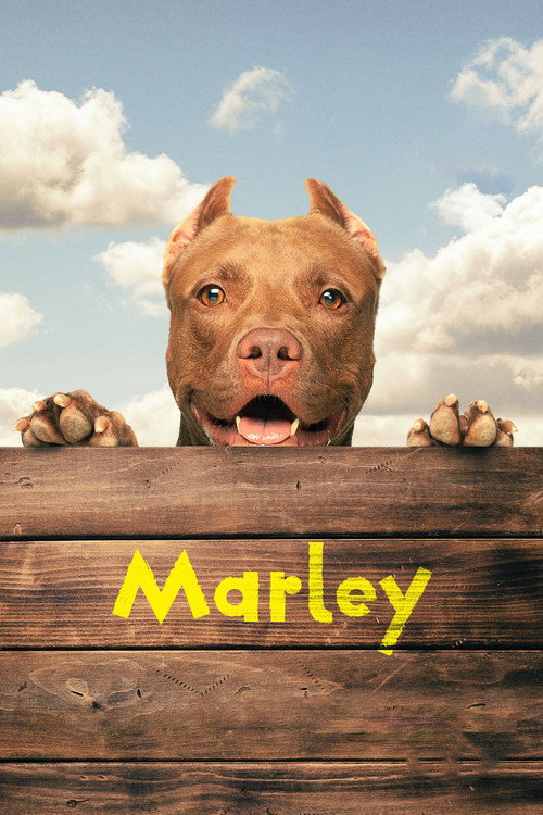 Movie poster for Marley (2022)