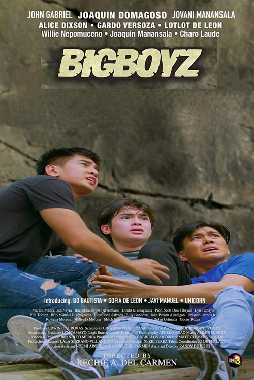 Movie poster for Bigboyz (2023)