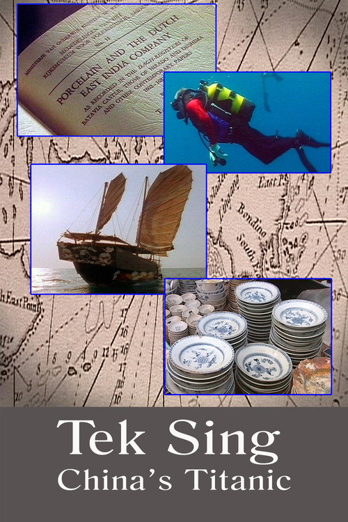 Movie poster for Tek Sing: China's Titanic (2011)