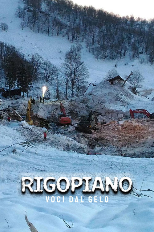Movie poster for Rigopiano: voci dal gelo (2018)