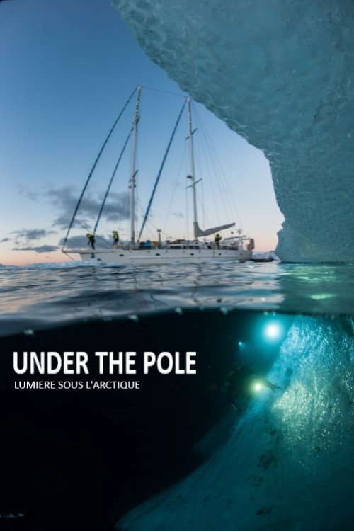 Movie poster for Under The Pole : Lumière Sous l'Arctique (2017)
