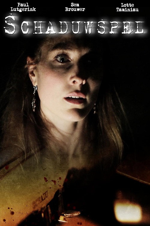 Movie poster for Shadow Play (2013)