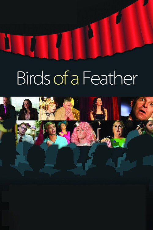 Movie poster for Birds of a Feather (2011)