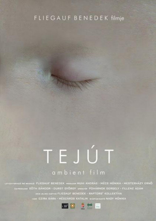 Movie poster for Milky Way (2007)