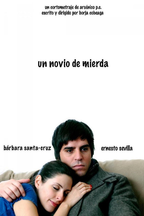 Movie poster for A Shitty Boyfriend (2010)