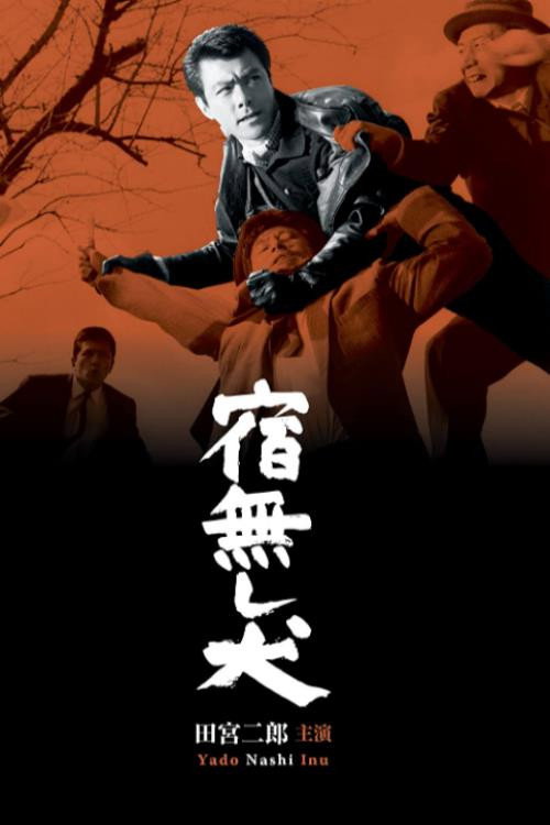 Movie poster for Homeless Dog (1964)