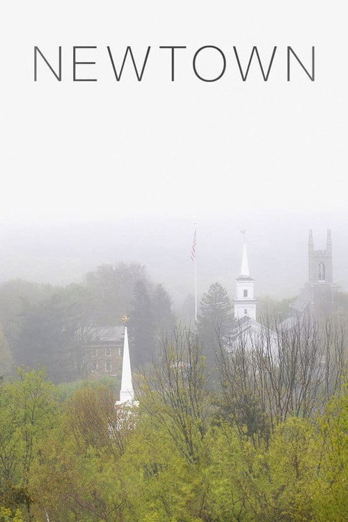 Movie poster for Newtown (2016)