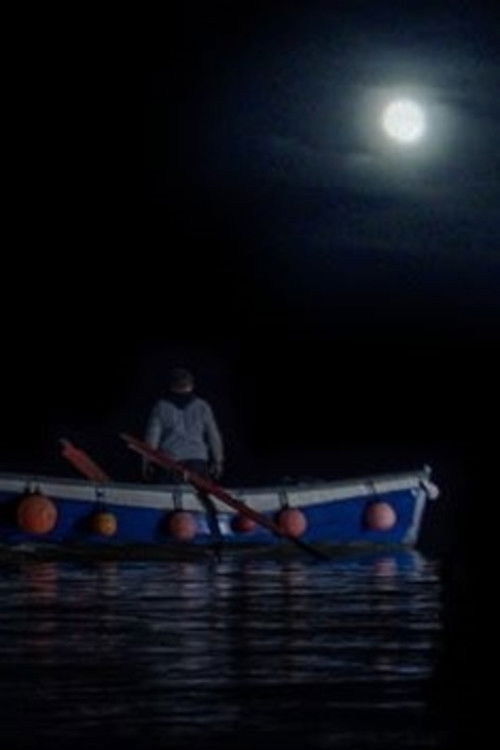 The Mermaid of Mevagissey poster