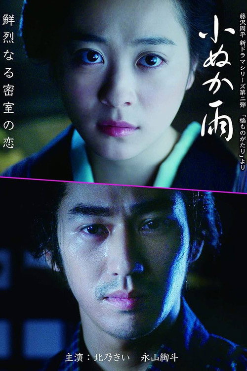 Movie poster for Hashi Monogatari: Konuka Ame (2017)