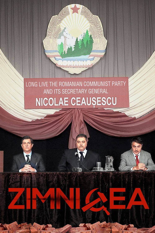 Movie poster for Zimnicea (2020)