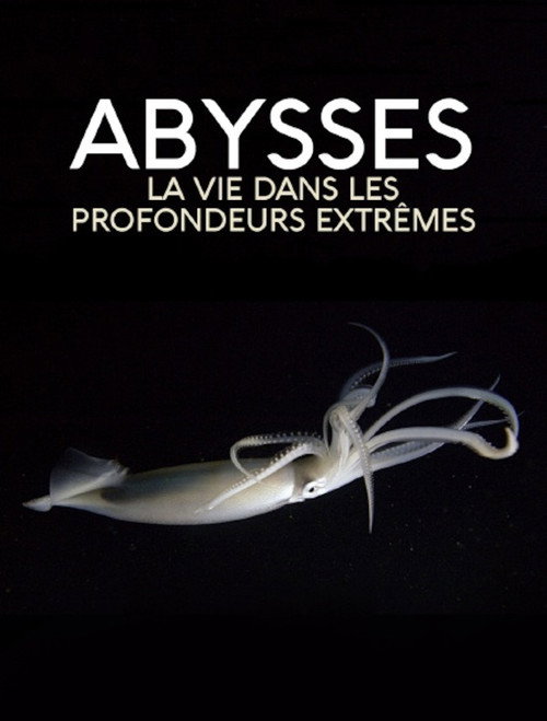 Movie poster for Extreme der Tiefsee - Abysses (2018)
