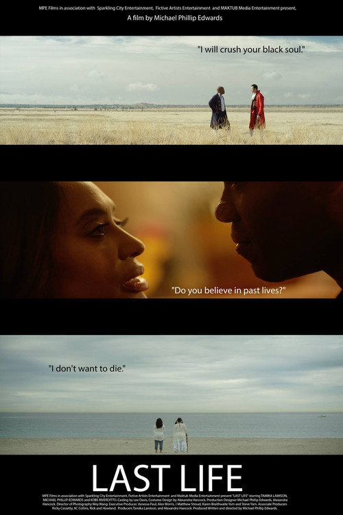 Movie poster for Last Life (2018)