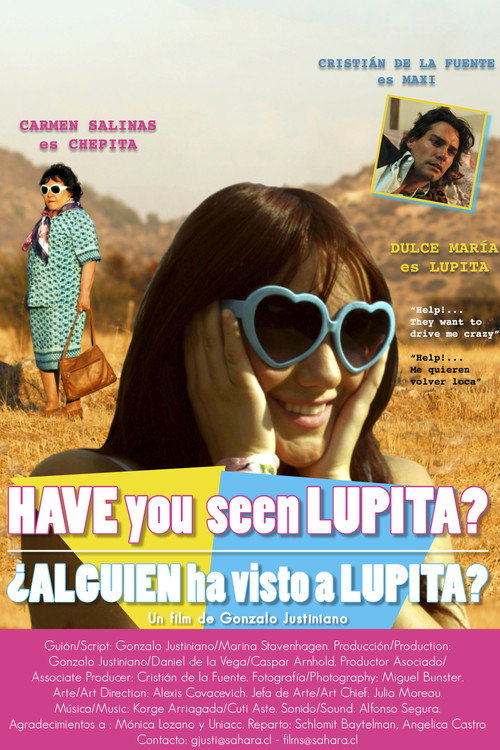 Movie poster for Have You Seen Lupita? (2012)