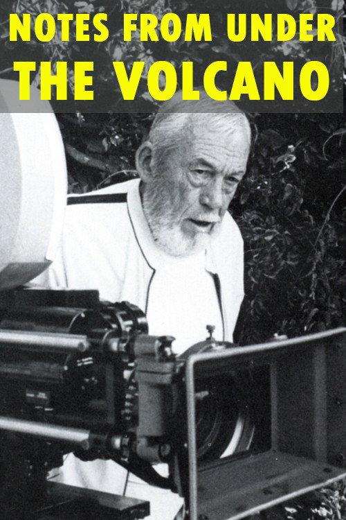 Movie poster for Notes from Under the Volcano (1984)
