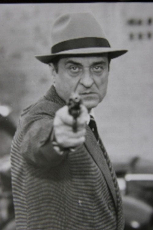 Photo of Alexandru Dobrescu, Acting