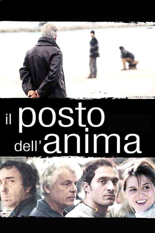 Movie poster for Il posto dell'anima (2003)