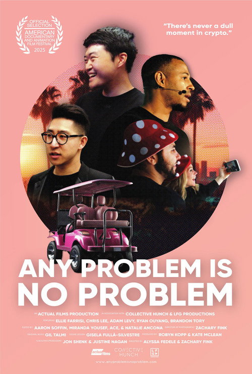 Movie poster for Any Problem is No Problem (2025)