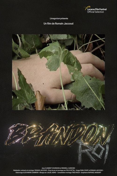Movie poster for Brandon Roi (2022)