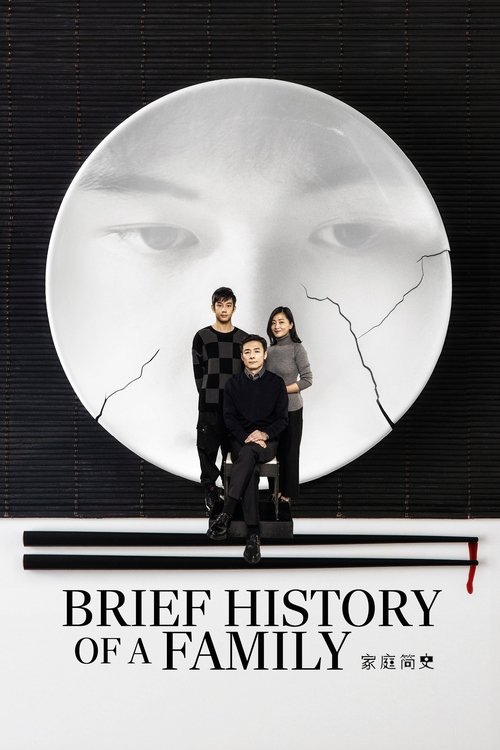 Movie poster for Brief History of a Family (2024)