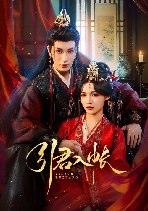 Series poster for 引君入帐 (2026)