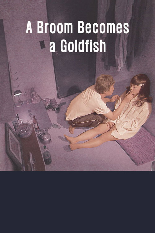 Movie poster for A Broom Becomes a Goldfish (2010)